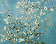Vincent Van Gogh, Almond Blossoms
